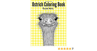 Printable funny ostrich in the pilots hat coloring page. Amazon Com Ostrich Coloring Book Collection Of Ostriches In Doodle Patterns To Color 9781790438624 Mintz Rachel Books