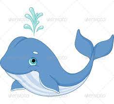 whale cartoon cartoon animals cartoon whale cartoon