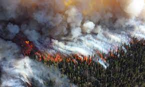 By early september, nearly 14,000 lightning strikes had ignited 900 fires that have burned more than. 5 Of California S 6 Largest Fires On Record Are Burning Now The Astonishing 2020 Wildfire Season In Context Union Of Concerned Scientists