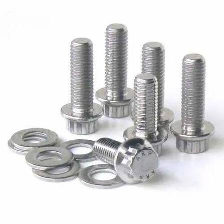 SS Fasteners