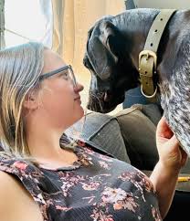 How clingy are German Shorthaired Pointers?