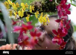 Giardini botanici di monaco di baviera immagini e fotografie stock ad alta  risoluzione