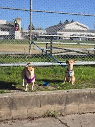 Mold team and owners have concluded that this is a HUGE job and LOTS of  things will need to be ripped out and remodeled meaning... drum roll... WE  HAVE TO MOVE for