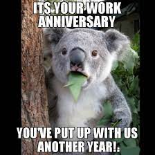 Who knows, maybe other colleagues are. Happy Work Anniversary Meme To Make Them Laugh Madly