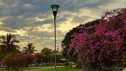 As brasileirinhas ✓ tem os melhores vídeos pornô com trailer grátis com as melhores atrizes brasileirinhas do pornô, entre e confira as brasileirinhas! Palmas Tocantins Wikipedia