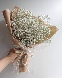 Pin On Flowers