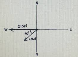 The resultant force is the vector sum between the components: Two Forces Of 125 Newton S And 215 Newton S Act On An Object As Shown In The Diagram Calculate The Magnitude And Direction Including A Specific Angle 8 Of The Resultant Force And