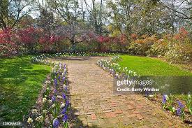 282 Theodore Bush Stock Photos, High-Res Pictures, and Images