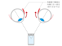 ãå¤ç¼ç­ãã¹ãããã®ç»åæ¤ç´¢çµæ