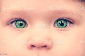 Foto De Bebe Com Rosto De Olhos Verdes Closeup E Mais Fotos De Stock De Olho Istock