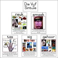 Pin On Voorskoolse Idees