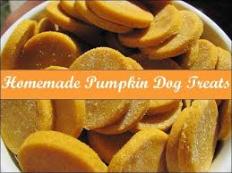 Homemade Pumpkin Dog Treats White Rice Flour Pumpkin Peanut Butter Eggs And Cinnamon Diydogtreats Dog Food Recipes Pumpkin Dog Treats Homemade Dog Food