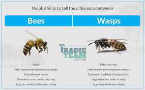 The only exception is when cutouts must. Bees Removal Melbourne Emergency Pest Control 0448 955 555