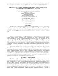 Image result for Dignathia gracilis