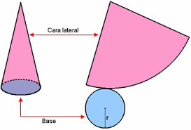 Resultado de imagen de desarrollo de un cono