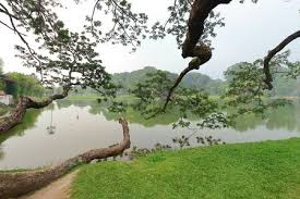 Warisan semula jadi di dipelihara dan dipulihara untuk tatapan masyarakat atau generasi akan. Tasik Stock Photos And Images 123rf