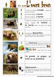 S Epanouir Pour Bien Grandir Les Animaux De La Foret Documentaire Animaux Animaux Foret Ours Brun