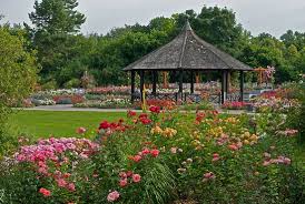 Der botanische garten augsburg ist zu jeder jahreszeit sehenswert. Botanischer Garten Augsburg A 10 Acre Garden The Garden Includes A Japanese Garden Plants From Around The World A Rose Garden Plants And Flowers Greenhouses And Glass Houses For Rock Cactus Crops And