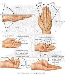 Image result for Hand Exam