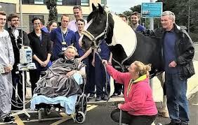 Injured old grandma takes it from behind. Daughter S Bid To Get Galloping Granny Back In The Saddle After Spinal Injury Horse Hound
