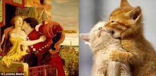 It S Salvador Dali Cat And Friends High Minded Felines Recreate Series Of Masterpieces With A Little Help From Their Owners Cats Funny Cats Cat Lovers
