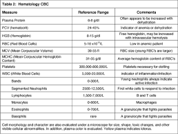 Overview Of Feline Bloodwork