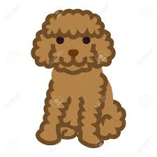 Miniature Poodle Simple Cartoon Illustration Royalty Free Cliparts Vectors And Stock Illustration Image 80163572 Paddles cartoon 1 of 82. miniature poodle simple cartoon illustration