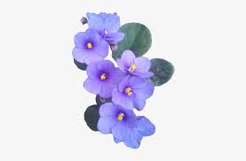 4.5 out of 5 stars. Flowers Flower Violet Aesthetic Vaporwave Sowon 640x480 Png Download Pngkit