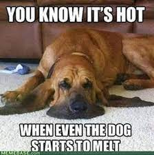 Facebook readers therese tice and marie bennett posted this meme. It S A Dry Heat 25 Memes That Sum Up Tucson Summers Entertainment Tucson Com