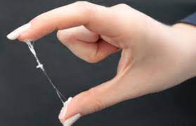 Billingsmethode Zwei Tage Methode