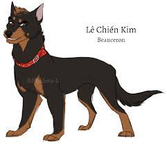 And being a mix, is one of the reasons why chloe bothers marinette. Kim Miraculous Au Dogs By P4ndora L On Deviantart Miraculous Ladybug Fan Art Miraculous Ladybug Memes Miraculous
