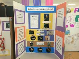 Biology Science Fair Projects For 7th Grade 75 Science Fair Project Ideas Science Fair Projects Cool Science Fair Projects Kids Science Fair Projects