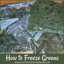 Last year i froze some kale. How To Freeze Greens Northern Homestead
