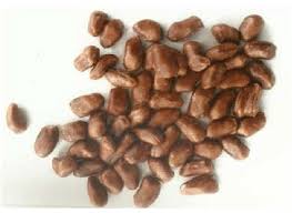 Image result for Monodora