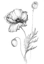 Well, what about the people who like to draw or model flowers? Poppy Drawing Flower Artwork Art Print Poppy Poppy Flower Etsy