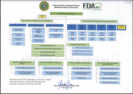 50 studious distributor organizational chart