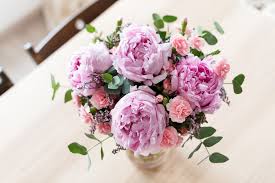 La sua coltivazione ha origine dal 1990 ed è la più nota, i suoi fiori sono composti da circa venti petali. Peonie Storia Come Prendersi Cura E Consigli
