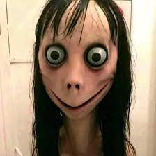 Momo Momo Fence Amino