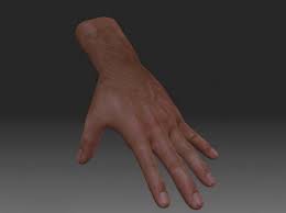 Anatomy Realistic Male Hand Free 3d Model Obj Open3dmodel 185091 In 2020 Male Hands 3d Model Realistic