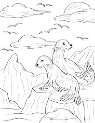 Free Printable Sea Lion Coloring Page Download It At Https Museprintables Com Download Coloring Page Sea Lio Lion Coloring Pages Sea Lion Art Coloring Pages