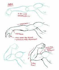Form the muscles and fingers as the drawingforall.net artists did. Arm Muscles Text How To Draw Manga Anime Guy Drawing Drawing Tips Drawing People