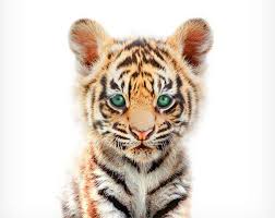 Pin By Nicole Ho Custodio On Animals Baby Animal Art Baby Animal Prints Baby Animal Prints Nursery