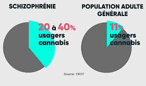 La schizophrénie est décrite dans toutes les cultures. Le Cannabis Peut Il Declencher Une Schizophrenie