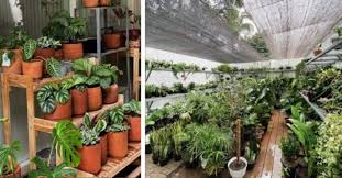 Tapi siapa tahu, tulisan ini bisa menerbitkan gagasan baru. Tempat Beli Tanaman Hias Di Jabodetabek Catat Parents