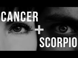 They are incredibly psychic and have a deep connection with other planes. Cancer Scorpio Love Compatibility Youtube