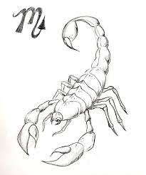 Handwork For Tattoo Beattattoo Com Scorpio Art Scorpion Drawing Scorpion Drawing Sketches
