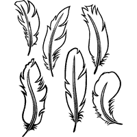 Bird Coloring Pages Surfnetkids Leather Working Patterns Leather Tooling Patterns Feather Template 1300x1300 isolated black outline monochrome feather of bird on white. bird coloring pages surfnetkids