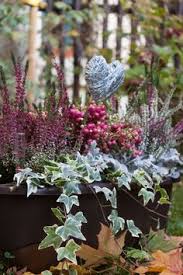 Auch Im Winter Schone Balkonkasten Ihr Findet Adelheids Herbst Winter Pflanzplan Auf Unserem Blog Blumen Im Blumentopf Winterpflanzen Bepflanzung