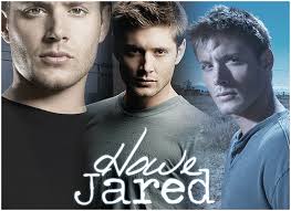 The Host by Stephenie Meyer