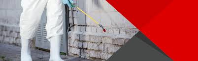 Scp pest control abu dhabi have a local based team that can respond quickly to your requests. Pest Control Services In Abu Dhabi Unique Plan Cleaning Services